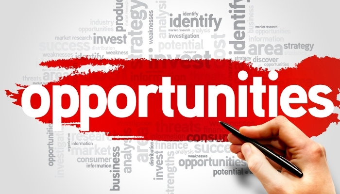 Temporary-to-Permanent Opportunities 