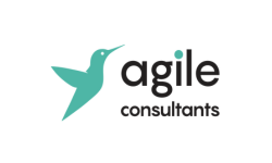 Agile Consultants 