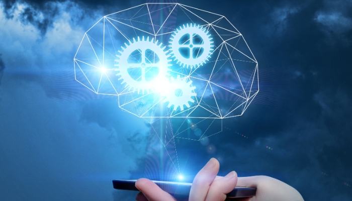 Building and Sustaining an Effective IT Ecosystem